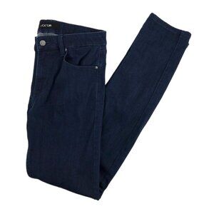 Joe's Jeans Blue Mid-Rise Skinny Jeans | Size 20